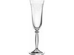 Bicchiere Da Champagne