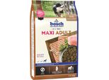 Bosch 3Kg Maxi Adult