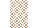 Traliccio Da Giardino Nature 100X300 Cm In Legno Marrone