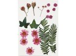 Fiori E Foglie Essiccati Di Colore Rosso Chiaro, 19Dlg.
