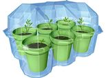 Kosmos 657802 Kit Sperimentale - Giardino Delle Mimose