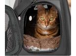 Trasportino - Borsa Per Cani/Gatti - Nero