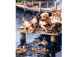Zuty - Pittura Con Numeri - Cani Sullo Steg, 40X50 Cm, Senza Telaio