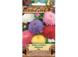 Nohel Garden Astra Porcellana Alta Princess, Miscela 00459