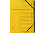 Exacompta 10X Organizer + Interno Elastico Nero 12 Scomparti A4 Giallo 541209E