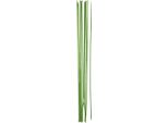 Creativ Company Cc Filo Per Steli Di Fiori 30 Cm Verde 20 Pezzi