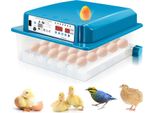 Incubatrice Yakimz Apparecchio Di Incubazione A Led Incubatrice Elettrica Per 36 Uova Di Gallina