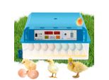 Incubatrice Hengda Termometro Per Incubazione Uova Di Gallina Incubatrice Per 64 Uova Di Gallina