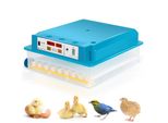 Jopassy Incubatrice Incubatrice Termometro Uova Di Pollo Incubatrice Per 64 Uova Di Pollo