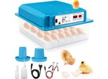 Incubatrice Jopassy Termometro Per Incubatrice Uova Di Gallina Incubatrice Incubatrice Per 36 Uova Di Gallina