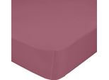 Lenzuolo Happyfriday Basic Magenta 90 X 200 X 32 Cm