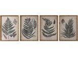 Picture Home Esprit Fern Cottage 50 X 2,5 X 70 Cm (4 Pezzi)