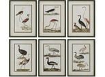 Picture Home Esprit Uccelli Cottage 40 X 2,5 X 54 Cm (6 Pezzi)