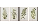 Picture Home Esprit Fern Cottage 45 X 2,5 X 70 Cm (4 Pezzi)