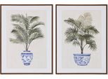 Picture Home Esprit Palme Coloniali 60 X 4 X 80 Cm (2 Pezzi)