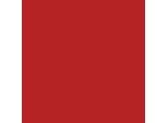 Cartoncino A Colori Creativ Company, A4, Foglio 210X297 Mm, 180 Gr, Rosso Scuro, 20 Fogli 1 Scatola