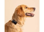 Tractive Gps Dog 6 - Localizzatore Per Cani Alla Menta