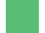Cartoncino Colorato Creativ Company, A4, Foglio 210X297 Mm, 180 Gr, Verde Erba, 20 Fogli 1 Scatola