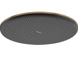 Hansgrohe Raindance Alive S Douche De TêTe 300 1Jet Ecosmart, 24521140, 24521140