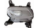 Abakus 221-2070L-AE - Fendinebbia Oe 92201 S1110, Sinistro Per Santa Fe Iii Dm
