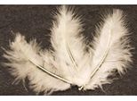 20 Piume Decorative Avorio 5,5 Cm - Taglia Unica