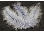 20 Piume Decorative Grigie 5,5 Cm - Taglia Unica