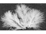 20 Piume Decorative Bianche 5,5 Cm - Taglia Unica
