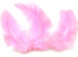 20 Piume Decorative Rosa 5,5 Cm - Taglia Unica