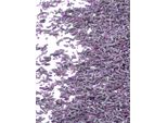 Fiori Di Lavanda Essiccati, Sacchetto Da 1 Kg - Taglia Unica