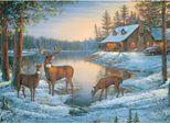 Puzzle Di Cobble Hill Un Posto Tranquillo - 1000 Teile Puzzle Spaß