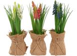 Countryfield Fiore Artificiale In Vaso Muscari H20Cm