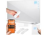 Riscaldatore A Infrarossi Riscaldatore A Infrarossi 720 W Berdsen BD-983 Telecomando App Wifi