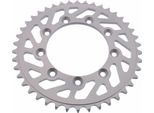 Esjot 42 Denti Passo 520 Argento Alluminio Per Tm Racing