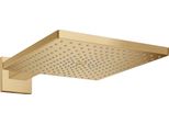 Hansgrohe Raindance E Douche De TêTe 300, 1Jet Ecosmart, Avec Bras De Douche, 26239140, 26239140