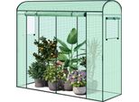 Serra Da Giardino - Tunnel In Plastica Per Pomodori - 170×68×200 Cm - Porta E Finestra - Pellicola In Pe - Beige