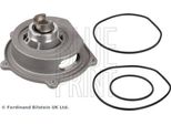 Blue Print ADJ139111 Pompa Dell'acqua, Raffreddamento Motore Oe 19200P5TG00 Compatibile Con Accord, Civic, Freelander, 850, 807, 407, A4 8K, Clk