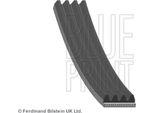 Blue Print AD04R1122 Cinghia Trapezoidale Dentata Oe MD199826 Compatibile Con L300, L200, Pajero, Sharan