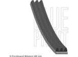 Blue Print AD03R848 Cinghia Trapezoidale Dentata Oe 9091602522 Compatibile Con Yaris, Corolla, Carisma, Serie 5 E39