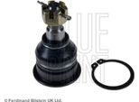 Blue Print ADN186128 Giunto Portante/Giunto Di Guida Oe 5450041U01 Compatibile Con Maxima
