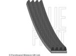 Blue Print AD04R1395 Cinghia Trapezoidale Dentata Oe K04891519AB Compatibile Con Pt Cruiser, Musa