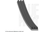 Blue Print AD03R963 Cinghia Trapezoidale Dentata Oe 0004863835 Compatibile Con Voyager