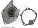 Blue Print ADN19186 Pompa Dell'acqua, Raffreddamento Motore Oe 210108574R Compatibile Con Dokker, Duster, Lodgy, Logan, Sandero, Almera, Kubistar, Micra, NV200, Qashqai, Captur, Clio, Fluence, Scenic, Kangoo, Laguna, Megane, Modus, Thalia, Twingo, Focus, Serie 5 E61, Classe E, Serie 1 E81, Astra, Leon, Raum, Civic, A6 4F, Xsara, Eclipse, 207, Lacetti, Alf. 147, Galant, Scepter, Polo 9N