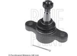 Blue Print ADG086119 Giunto Portante/Giunto Di Guida Oe 517603K000 Compatibile Con Grandeur, Sonata, Opirus