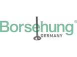 Borsehung B19012 Valvola Di Scarico Oe 038109611F Compatibile Con A2, A3 8L, A4 8D, A4 8E, A6 4B, Alhambra, Arosa, Cordoba, Ibiza, Leon, Toledo, Fabia, Octavia, Superb, Bora, Golf Iv, Lupo, Multivan V, New Beetle, Passat 3B, Phaeton, Polo 6N, Polo 9N, Sharan, Touareg, Transporter V