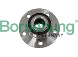 Borsehung B19117 Kit Cuscinetti Ruota Oe 6C0407621 Compatibile Con A1 8X, Cordoba, Ibiza, Toledo, Fabia, Rapid, Roomster, Fox, Polo 9N, Polo 6R