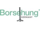 Borsehung B19028 Valvola Di Aspirazione Oe 06E109601F Compatibile Con A3 8P, A4 8E, A4 8H, A4 8K, A5 8T, A5 8F, A6 4F, A6 4G, A7 4G, A8 4E, A8 4D, A8 4H, Q5, Q7, Altea, Altea Xl, Leon, Toledo, Octavia, Eos, Golf Plus, Golf V, Jetta, Passat 3C, Touareg, Touran