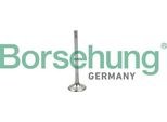 Borsehung B19025 Valvola Di Aspirazione Oe 058109601C Compatibile Con A3 8L, A4 8D, A4 8E, A4 8H, A6 4A, A6 4B, A6 4F, A8 4E, Tt, Alhambra, Cordoba, Exeo, Ibiza, Leon, Toledo, Octavia, Superb, Bora, Golf Iv, New Beetle, Passat 3B, Polo 9N, Sharan