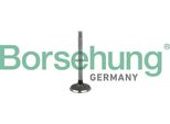 Borsehung B19029 Valvola Di Aspirazione Oe 038109601B Compatibile Con A2, A3 8L, A4 8D, A4 8E, A6 4B, Alhambra, Arosa, Cordoba, Ibiza, Leon, Toledo, Fabia, Octavia, Superb, Bora, Golf Iv, Lupo, Multivan V, New Beetle, Passat 3B, Phaeton, Polo 6N, Polo 9N, Sharan, Touareg, Transporter V