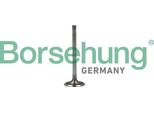 Borsehung B19022 Valvola Di Aspirazione Oe 04E109601A Compatibile Con A3 8V, Ibiza, Leon, Toledo, Fabia, Octavia, Rapid, Yeti, Beetle, Caddy, Golf Sportsvan, Golf Vi, Golf Vii, Jetta, Polo 6R, Touran