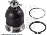 Blue Print ADH286138 Giunto Portante/Giunto Di Guida Oe 51270S01013 Compatibile Con Accord